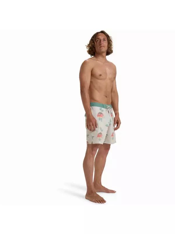 Мужские плавки Lo Tides Good Times 17.5 Billabong, песочный