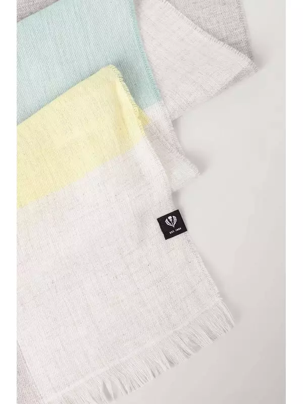 Шарф с принтом Fraas