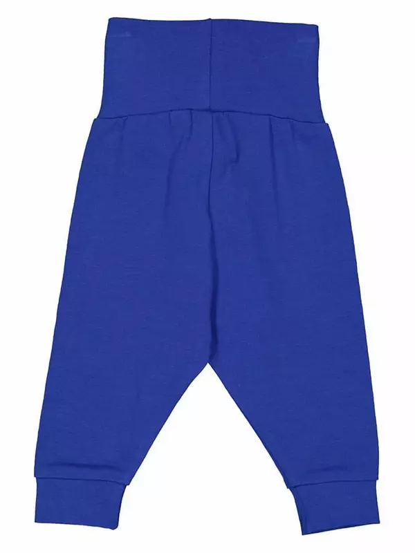 Спортивные штаны Fred´s World by GREEN COTTON, синий