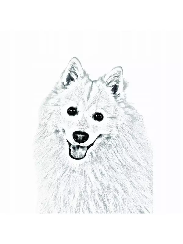 Японский шпиц Складное карманное зеркальце Inna Marka