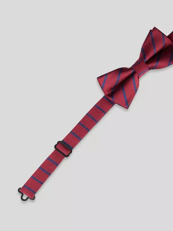 Галстук-бабочка