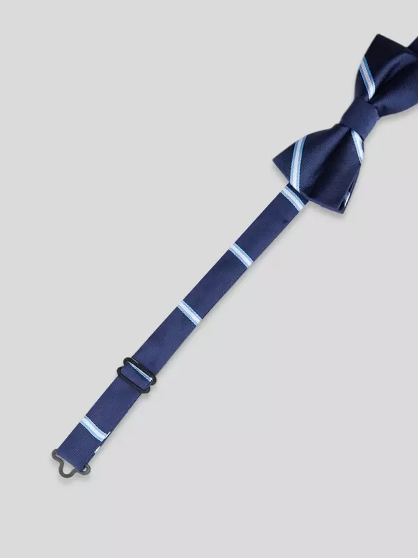 Галстук-бабочка