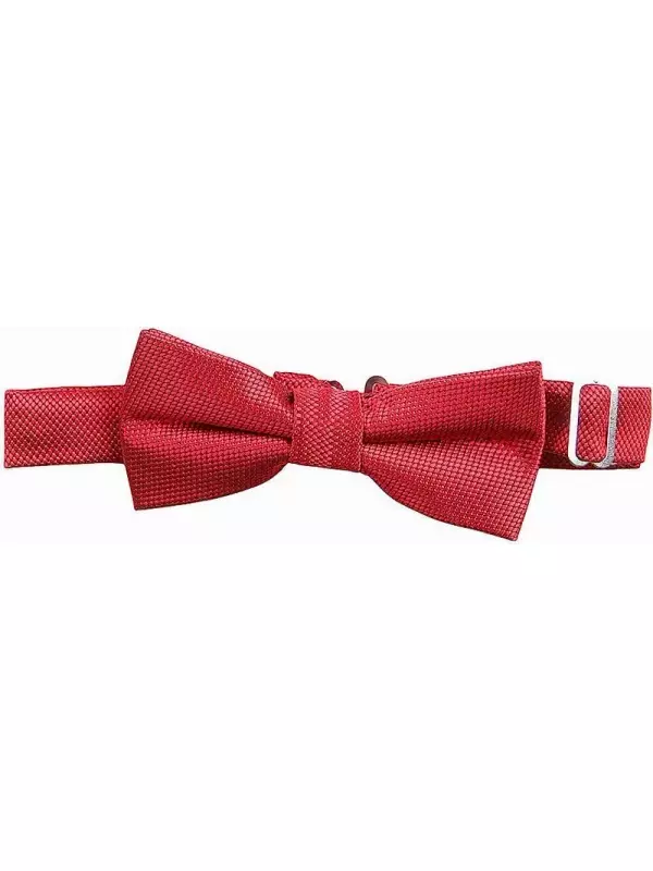 Галстук-бабочка