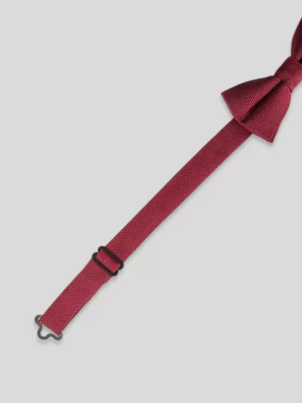 Галстук-бабочка