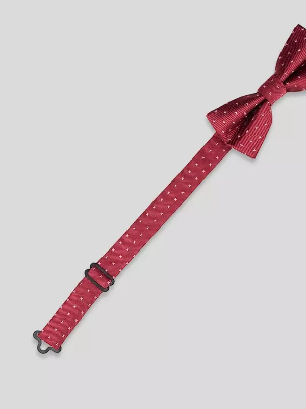 Галстук-бабочка