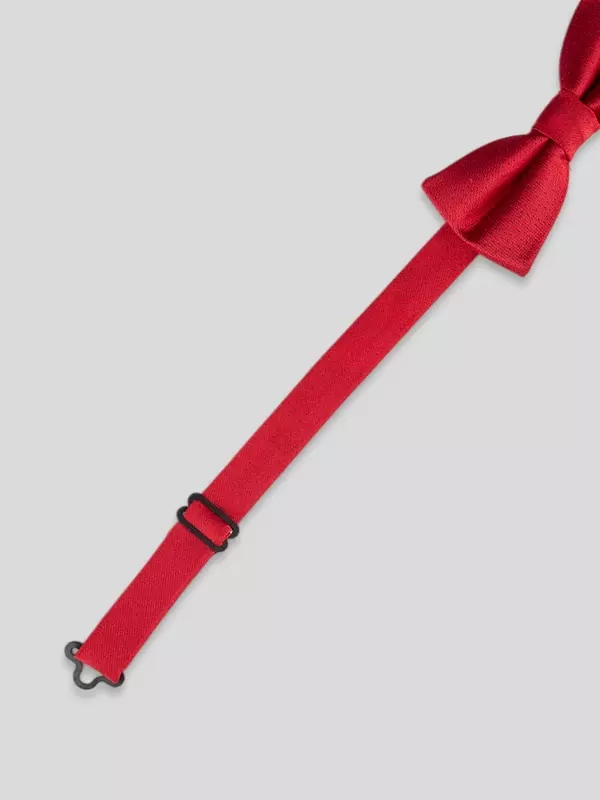 Галстук-бабочка