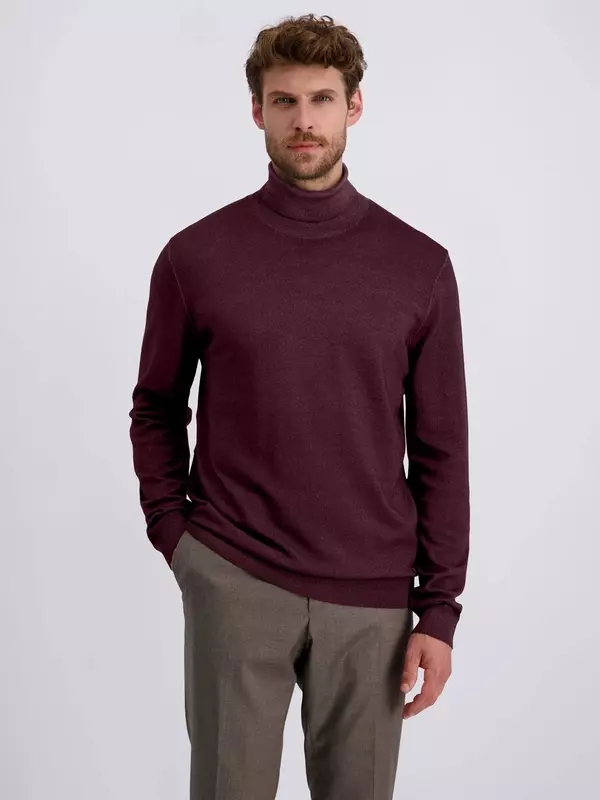 Свитер PIERRE CARDIN, Wine red