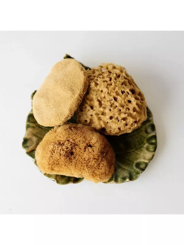 Ubo Набор: сотовая губка для снятия макияжа, 1 шт. + губка для снятия макияжа со слоновыми ушками, 1 шт. + плюшевая шелковая губка для снятия макияжа, 1 шт.